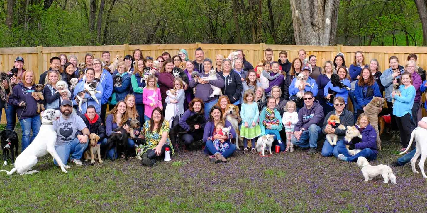 hero-volunteers-fosters-group-pic